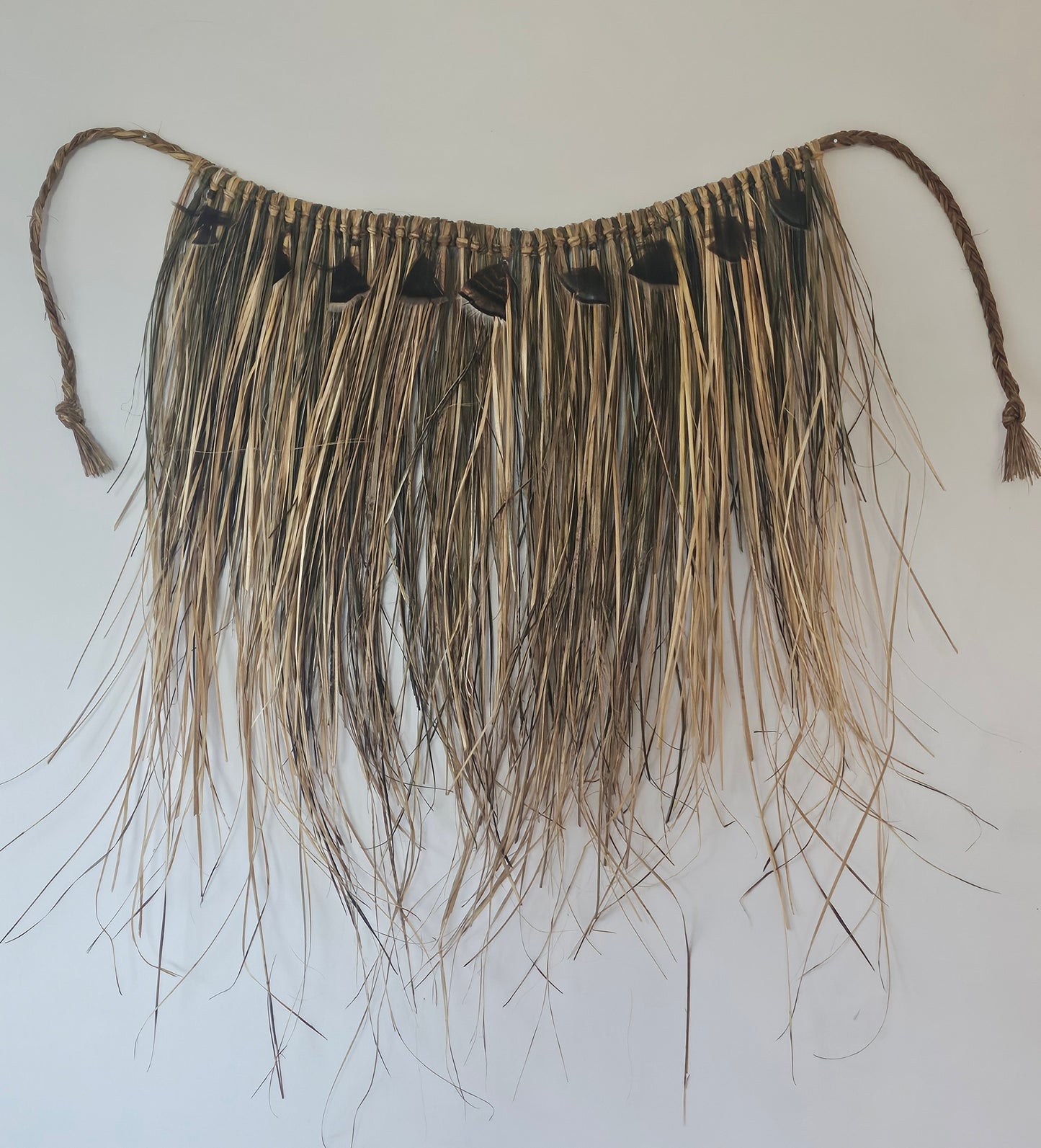 Te Taiao o Korukoru