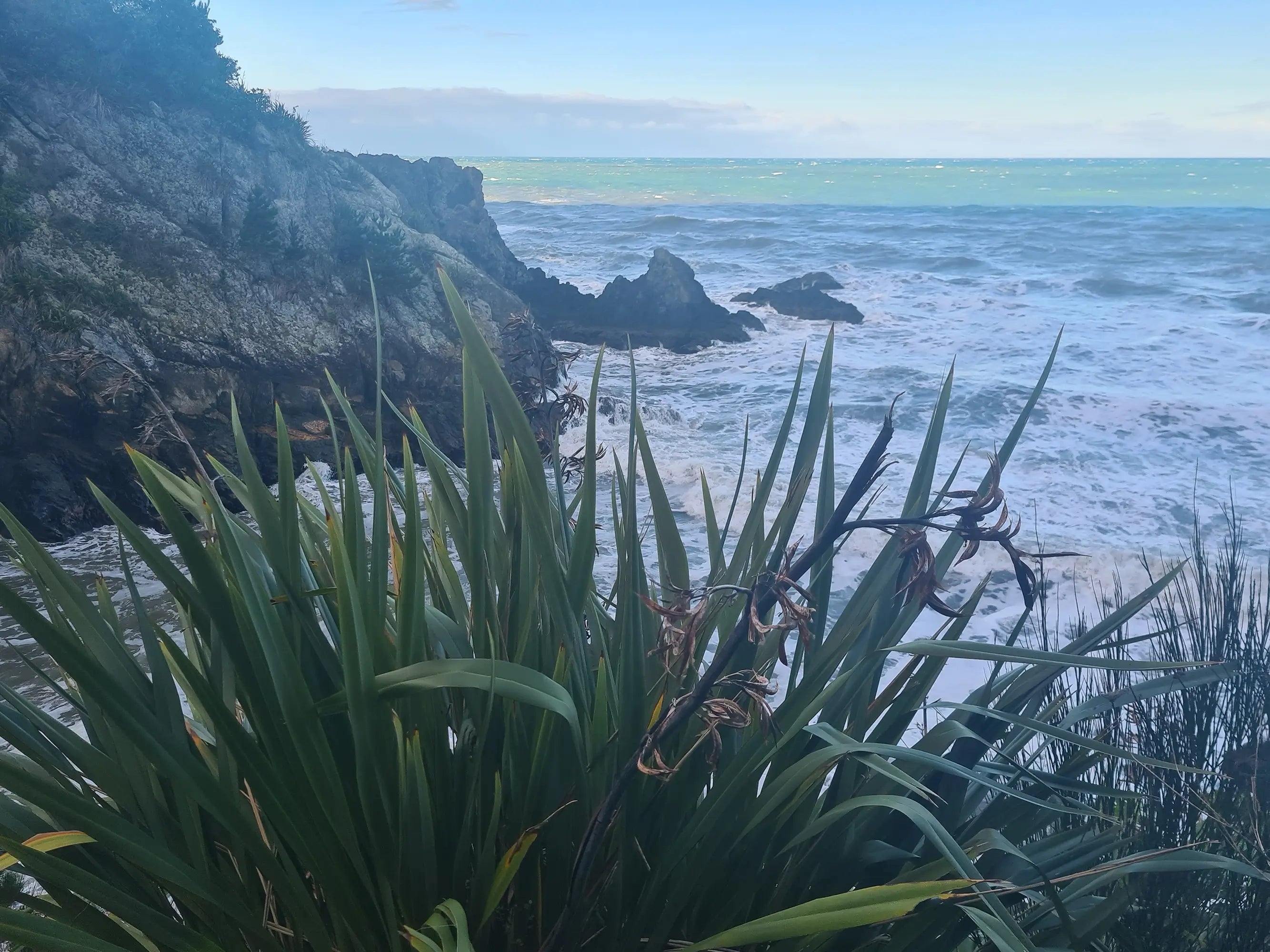 Flax Gathering - Hera Creative in Blenheim, Marlborough, New Zealand